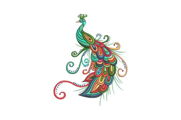Beautiful Peacock