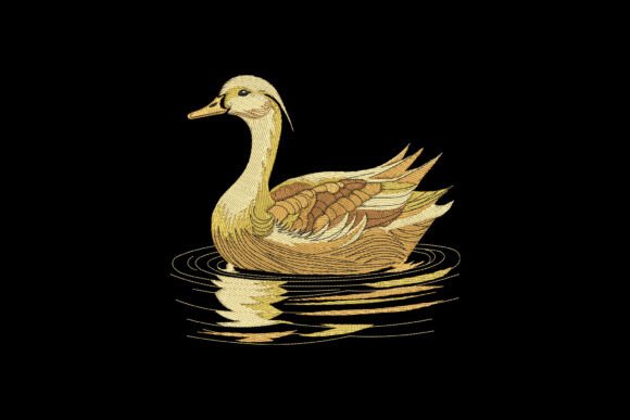 Elegant Waterfowl