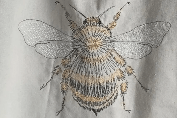 Linear Bumble Bee Sketch Style