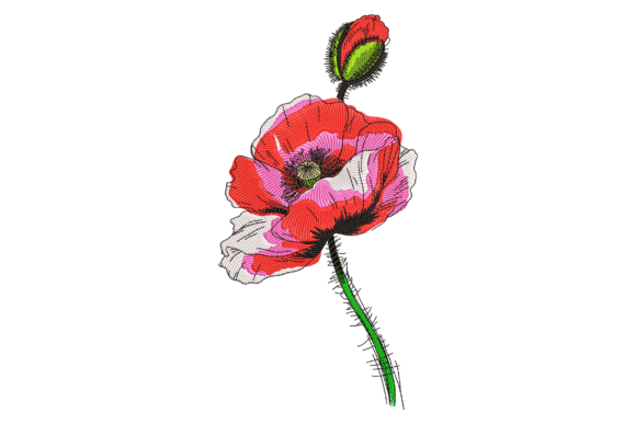 Red Poppy Flower