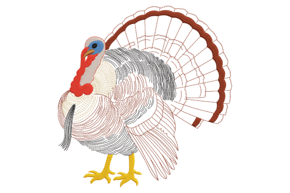 Turkey Bird