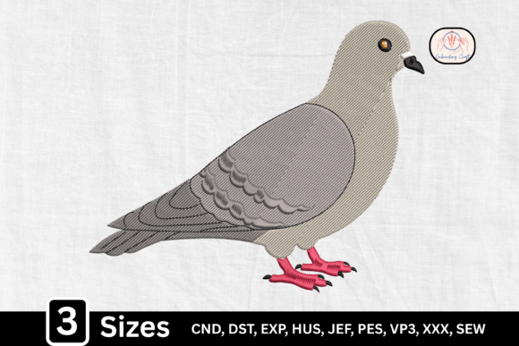 Urban Dove Pigeon